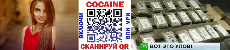 где продают наркотики  Щёкино  кракен зеркало  COCAIN VHQ 
