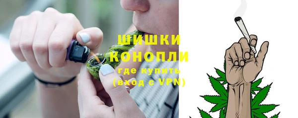 дживик Аркадак