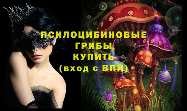 дживик Аркадак