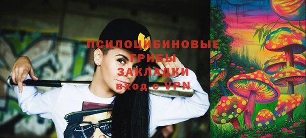 дживик Аркадак