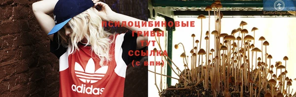 амф Армянск