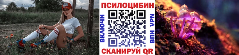 mega tor  Щёкино  Галлюциногенные грибы MAGIC MUSHROOMS 